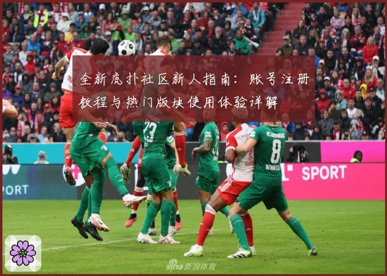 全新虎扑社区新人指南：账号注册教程与热门版块使用体验详解