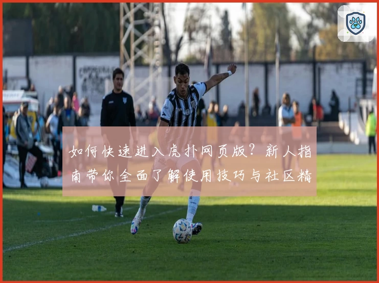 如何快速进入虎扑网页版？新人指南带你全面了解使用技巧与社区精华