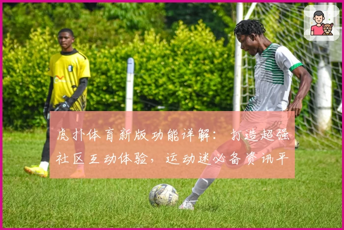 虎扑体育新版功能详解：打造超强社区互动体验，运动迷必备资讯平台